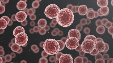 Modified Toxicity Probability Interval